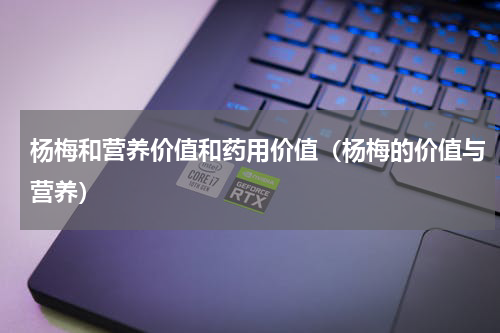 杨梅和营养价值和药用价值（杨梅的价值与营养）