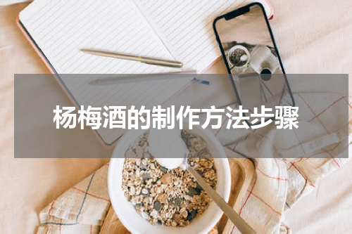 杨梅酒的制作方法步骤