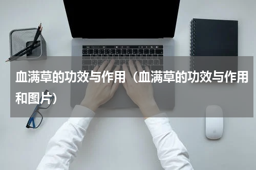 血满草的功效与作用（血满草的功效与作用和图片）