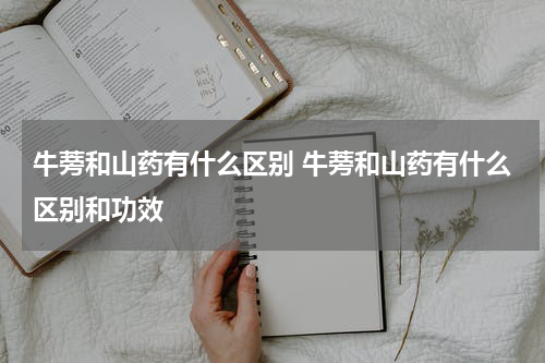 牛蒡和山药有什么区别 牛蒡和山药有什么区别和功效