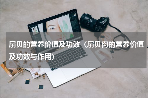 扇贝的营养价值及功效（扇贝肉的营养价值及功效与作用）