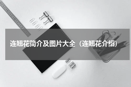 连翘花简介及图片大全（连翘花介绍）