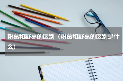 粉葛和野葛的区别（粉葛和野葛的区别是什么）