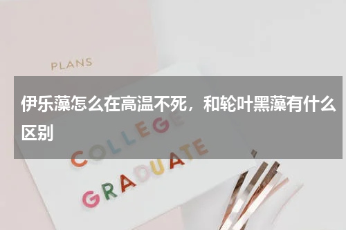 伊乐藻怎么在高温不死，和轮叶黑藻有什么区别