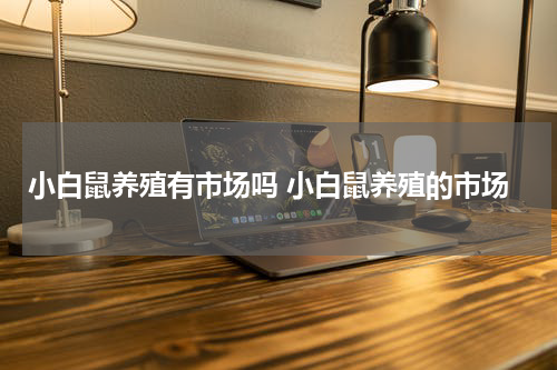 小白鼠养殖有市场吗 小白鼠养殖的市场