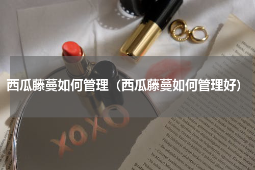 西瓜藤蔓如何管理（西瓜藤蔓如何管理好）