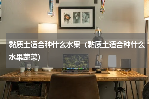 黏质土适合种什么水果（黏质土适合种什么水果蔬菜）