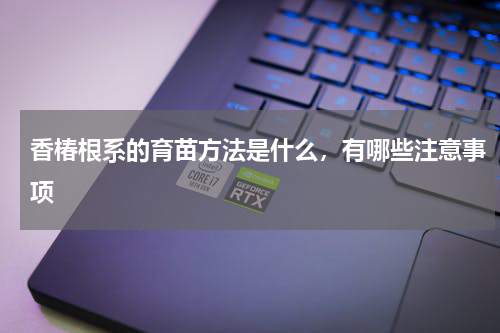 香椿根系的育苗方法是什么，有哪些注意事项