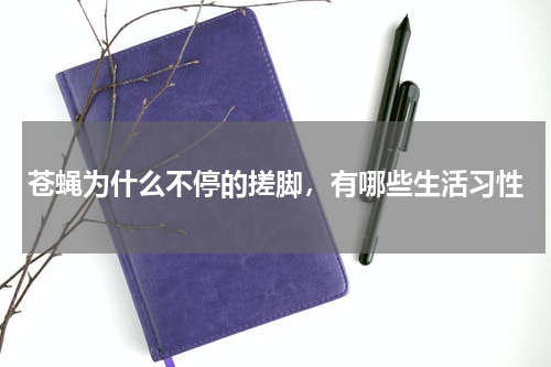 苍蝇为什么不停的搓脚，有哪些生活习性