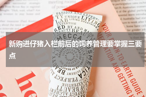 新购进仔猪入栏前后的饲养管理要掌握三要点