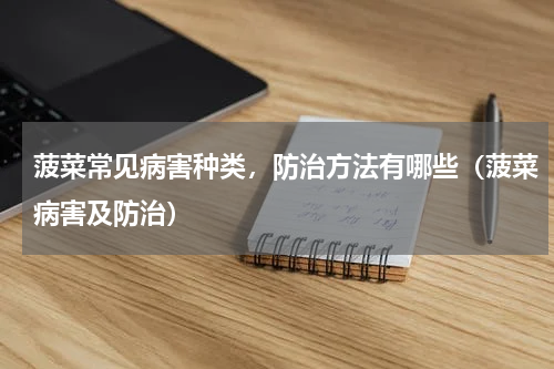 菠菜常见病害种类，防治方法有哪些（菠菜病害及防治）