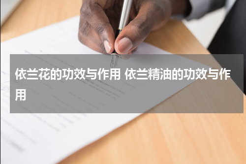依兰花的功效与作用 依兰精油的功效与作用
