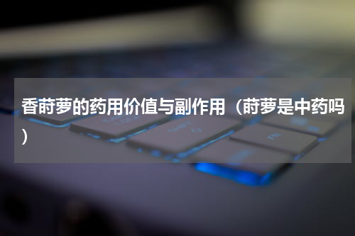 香莳萝的药用价值与副作用（莳萝是中药吗）