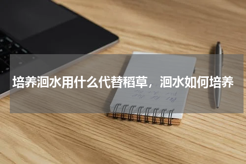 培养洄水用什么代替稻草，洄水如何培养