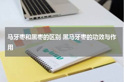马牙枣和黑枣的区别 黑马牙枣的功效与作用
