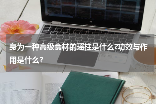 身为一种高级食材的瑶柱是什么?功效与作用是什么？