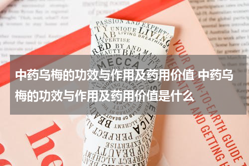 中药乌梅的功效与作用及药用价值 中药乌梅的功效与作用及药用价值是什么