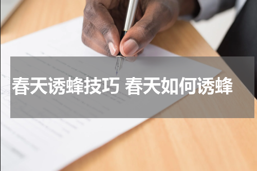春天诱蜂技巧 春天如何诱蜂