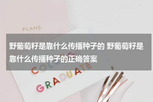 野葡萄籽是靠什么传播种子的 野葡萄籽是靠什么传播种子的正确答案