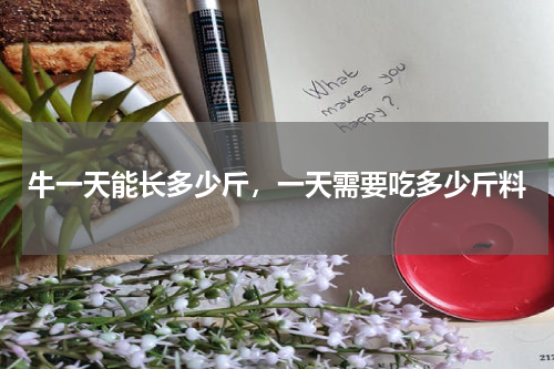 牛一天能长多少斤，一天需要吃多少斤料