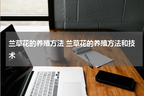 兰草花的养殖方法 兰草花的养殖方法和技术