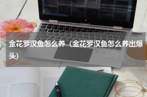 金花罗汉鱼怎么养（金花罗汉鱼怎么养出爆头）