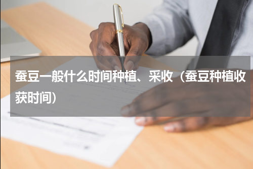 蚕豆一般什么时间种植、采收（蚕豆种植收获时间）
