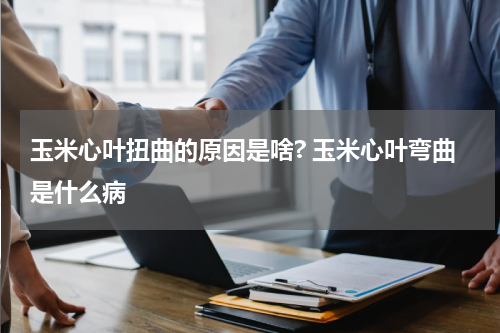 玉米心叶扭曲的原因是啥? 玉米心叶弯曲是什么病