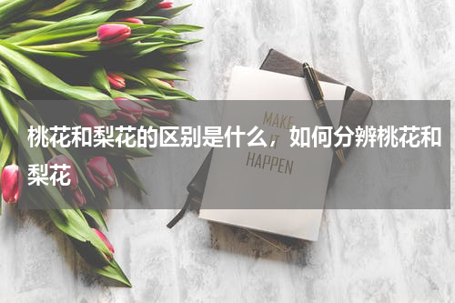 桃花和梨花的区别是什么，如何分辨桃花和梨花