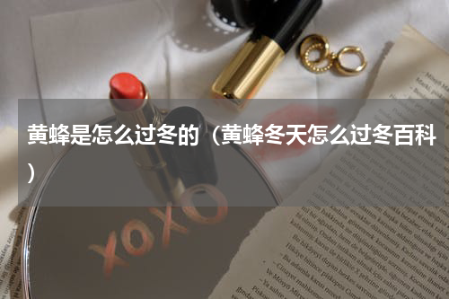 黄蜂是怎么过冬的（黄蜂冬天怎么过冬百科）