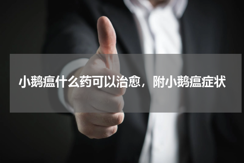 小鹅瘟什么药可以治愈，附小鹅瘟症状