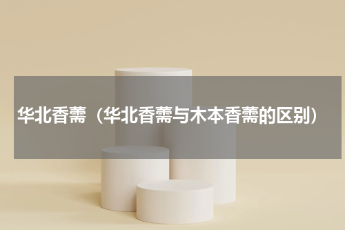 华北香薷（华北香薷与木本香薷的区别）