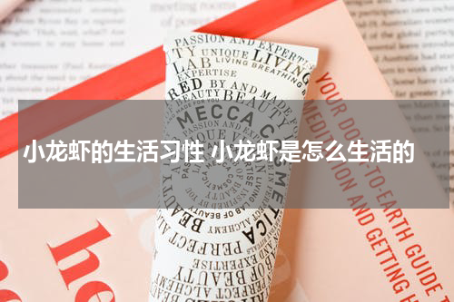 小龙虾的生活习性 小龙虾是怎么生活的