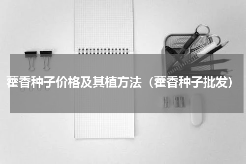 藿香种子价格及其植方法（藿香种子批发）