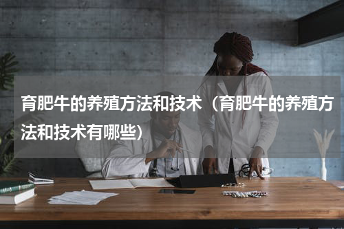 育肥牛的养殖方法和技术（育肥牛的养殖方法和技术有哪些）
