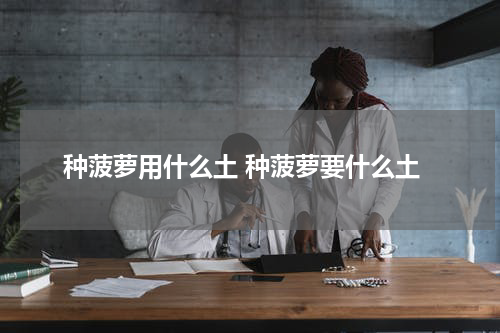 种菠萝用什么土 种菠萝要什么土