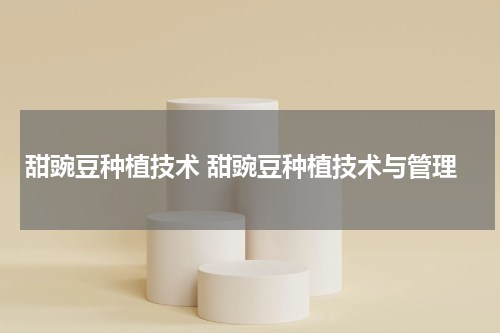 甜豌豆种植技术 甜豌豆种植技术与管理