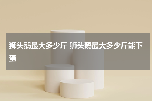 狮头鹅最大多少斤 狮头鹅最大多少斤能下蛋