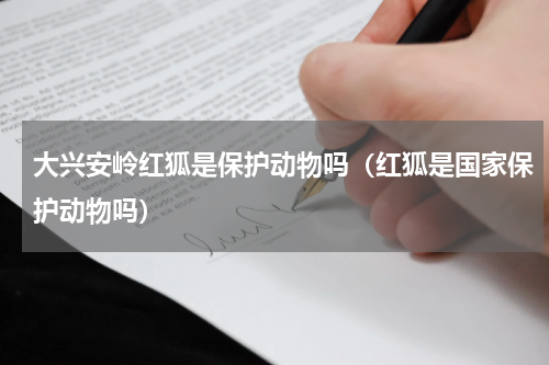 大兴安岭红狐是保护动物吗（红狐是国家保护动物吗）