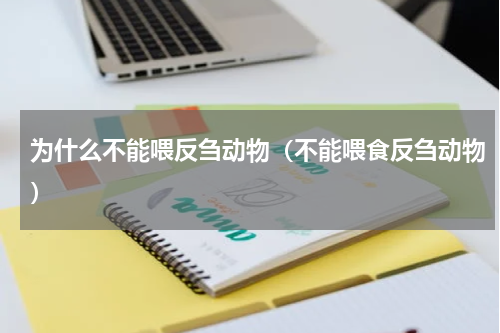 为什么不能喂反刍动物（不能喂食反刍动物）