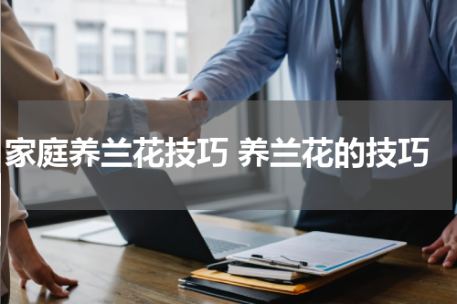 家庭养兰花技巧 养兰花的技巧