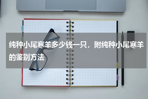 纯种小尾寒羊多少钱一只，附纯种小尾寒羊的鉴别方法