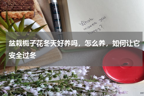 盆栽栀子花冬天好养吗，怎么养，如何让它安全过冬