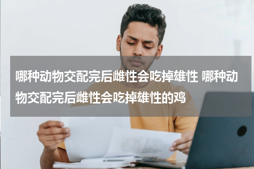 哪种动物交配完后雌性会吃掉雄性 哪种动物交配完后雌性会吃掉雄性的鸡