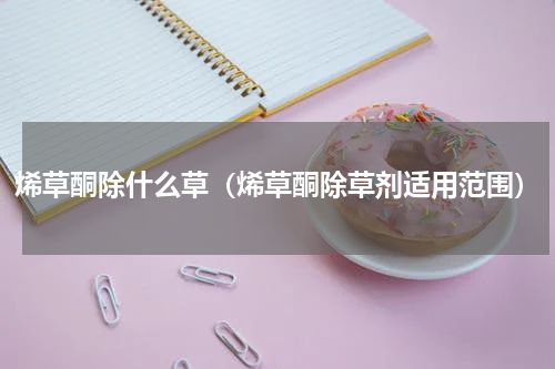 烯草酮除什么草（烯草酮除草剂适用范围）