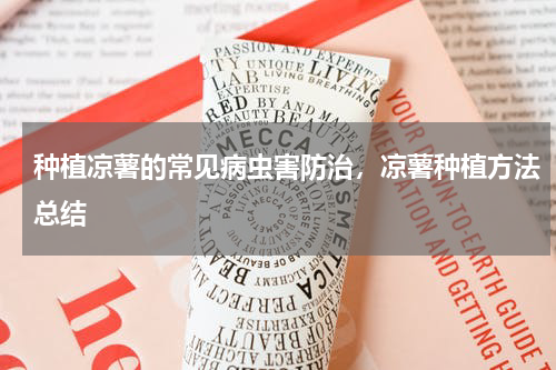 种植凉薯的常见病虫害防治，凉薯种植方法总结