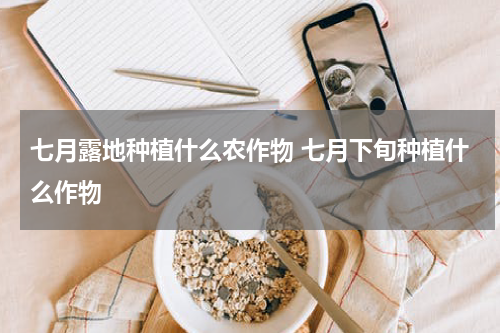 七月露地种植什么农作物 七月下旬种植什么作物