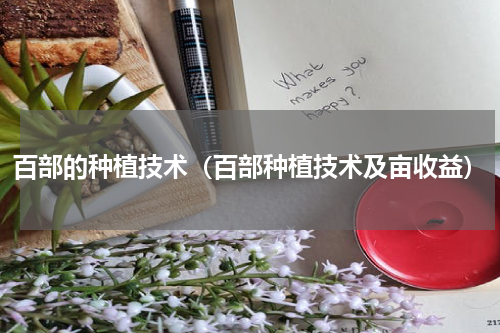 百部的种植技术（百部种植技术及亩收益）