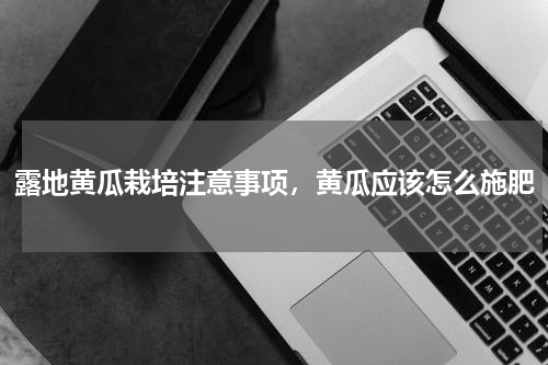 露地黄瓜栽培注意事项，黄瓜应该怎么施肥