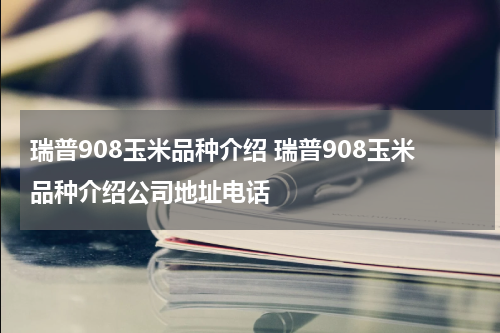 瑞普908玉米品种介绍 瑞普908玉米品种介绍公司地址电话